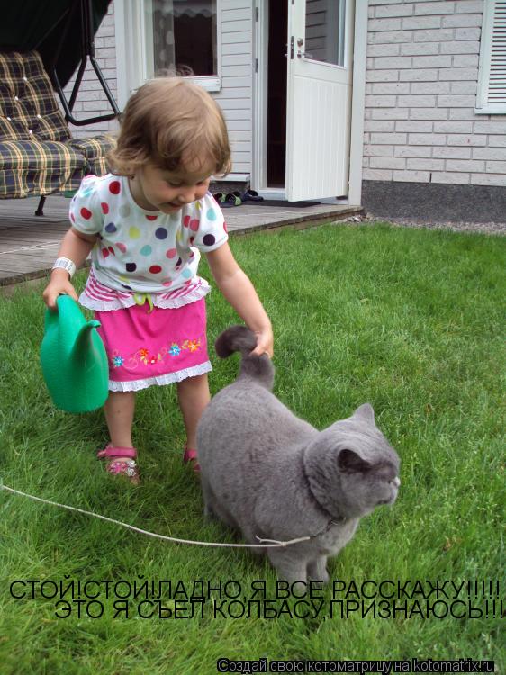 Котоматрица: СТОЙ!СТОЙ!ЛАДНО,Я ВСЕ РАССКАЖУ!!!!! ЭТО Я СЪЕЛ КОЛБАСУ,ПРИЗНАЮСЬ!!!