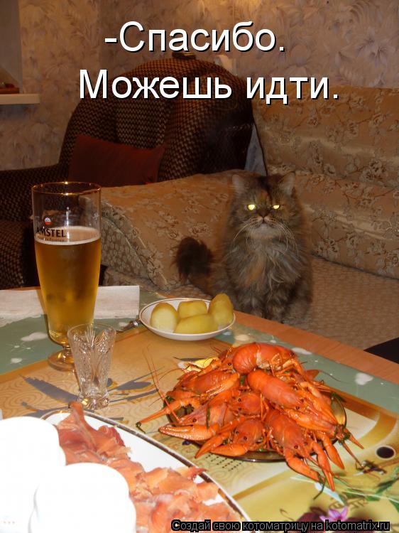 Котоматрица: -Спасибо.  Можешь идти.