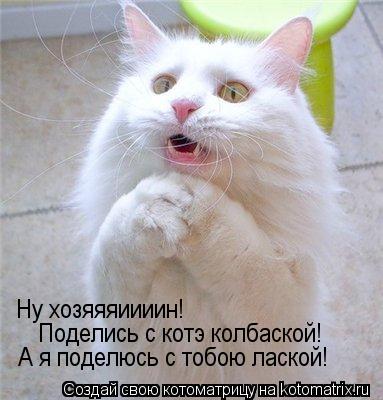 Котоматрица: Ну хозяяяиииин! Поделись с котэ колбаской! А я поделюсь с тобою лаской!