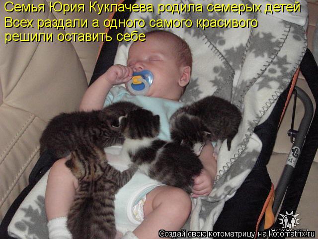 Котоматрица: Семья Юрия Куклачева родила семерых детей Всех раздали а одного самого красивого решили оставить себе