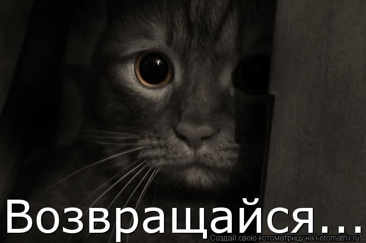 Возвращайся.......... Котоматрица: Возвращайся.......