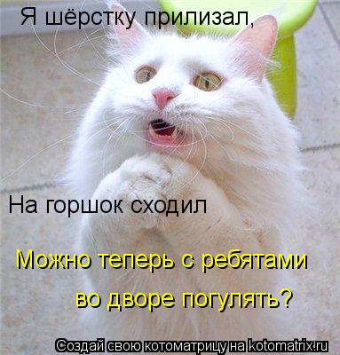 Я шёрстку прилизал, На горшок сходил Можно теперь с ребятами во дворе погулять?... Котоматрица: Я шёрстку прилизал, На горшок сходил Можно теперь с ребятами во дворе погулять?