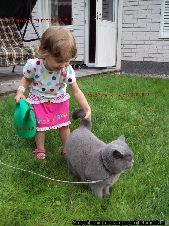 -Какой же ты толстый!!!!!!!!!!!!! -Какой же ты толстый!!!!!!!!!!!!! -Какой же ты толстый!!!!!!!!!!!!!... Котоматрица: -Какой же ты толстый!!!!!!!!!!!!! -Какой же ты толстый!!!!!!!!!!!!! -Какой же ты толстый!!!!!!!!!!!!!