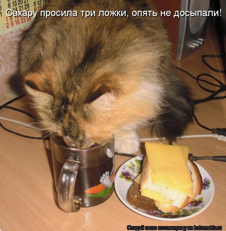 Сахару просила три ложки, опять не досыпали!... Котоматрица: Сахару просила три ложки, опять не досыпали!