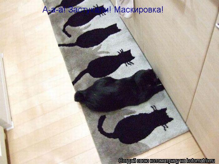 А-а-а! Застукали! Маскировка!... Котоматрица: А-а-а! Застукали! Маскировка!