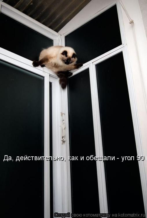 Да, действительно, как и обещали - угол 90 градусов... Котоматрица: Да, действительно, как и обещали - угол 90 градусов