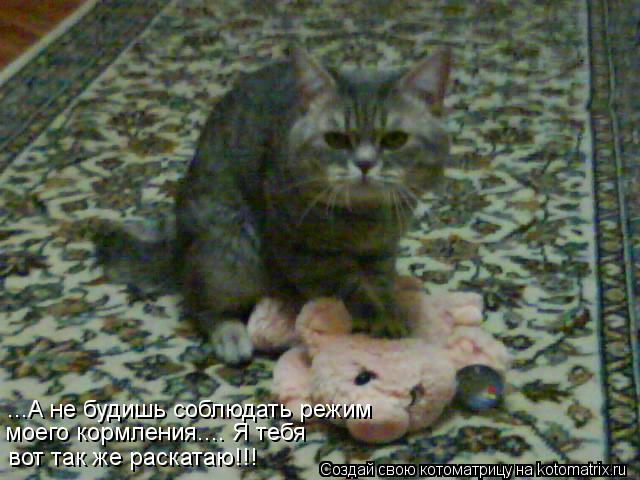 Котоматрица: моего кормления.... Я тебя   вот так же раскатаю!!! ...А не будишь соблюдать режим