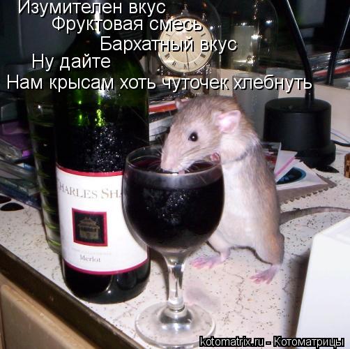 Котоматрица: Нам крысам хоть чуточек хлебнуть Ну дайте Изумителен вкус Бархатный вкус Фруктовая смесь