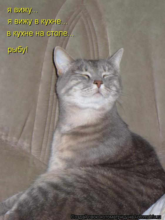 Котоматрица: я вижу... я вижу в кухне... в кухне на столе... рыбу!