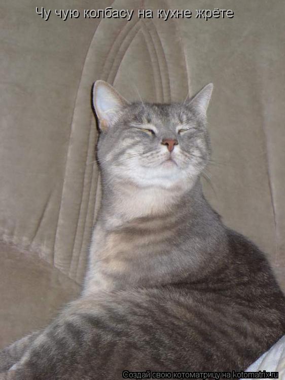 Котоматрица: Чу чую колбасу на кухне жрёте