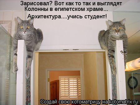 Котоматрица: Зарисовал? Вот как то так и выглядят Колонны в египетском храме... Архитектура....учись студент!