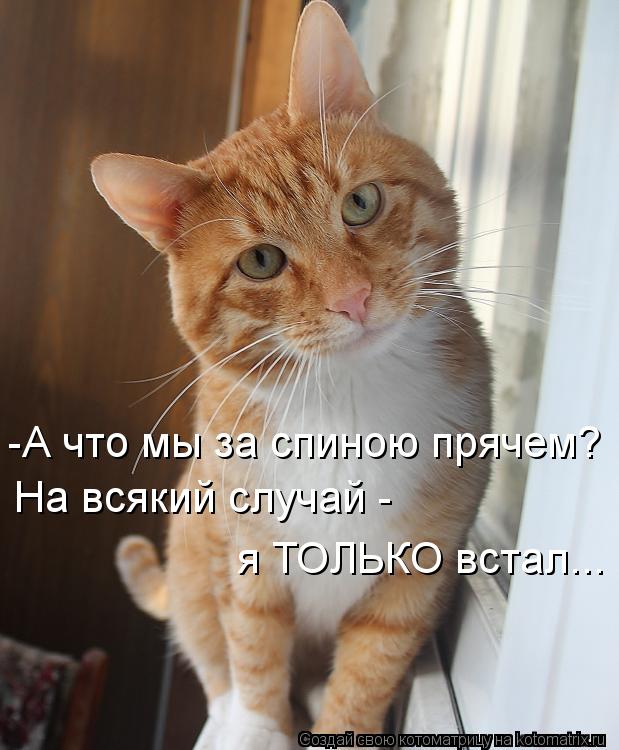 Котоматрица: -А что мы за спиною прячем? На всякий случай -  я ТОЛЬКО встал...