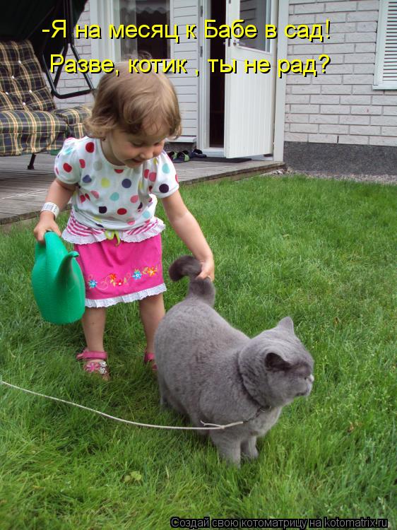 Котоматрица: -Я на месяц к Бабе в сад! Разве, котик , ты не рад?