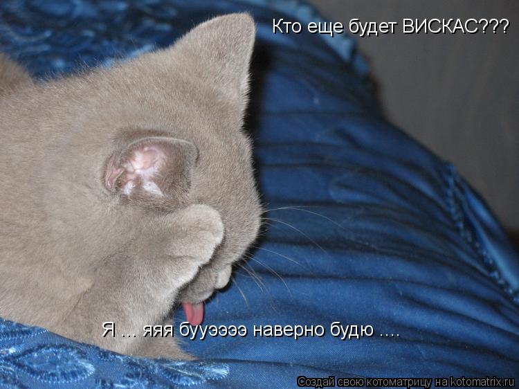 Котоматрица: Кто еще будет ВИСКАС??? Я ... яяя бууээээ наверно будю ....
