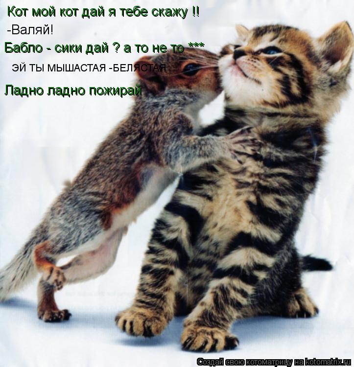 Котоматрица: Кот мой кот дай я тебе скажу !! -Валяй! Бабло - сики дай ? а то не то *** ЭЙ ТЫ МЫШАСТАЯ -БЕЛЯСТАЯ  Ладно ладно пожирай