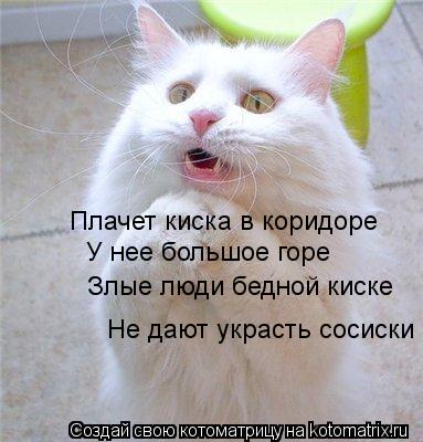 Плачет киска в коридоре У нее большое горе Злые люди бедной киске Не дают украсть сосиски... Котоматрица: Плачет киска в коридоре У нее большое горе Злые люди бедной киске Не дают украсть сосиски