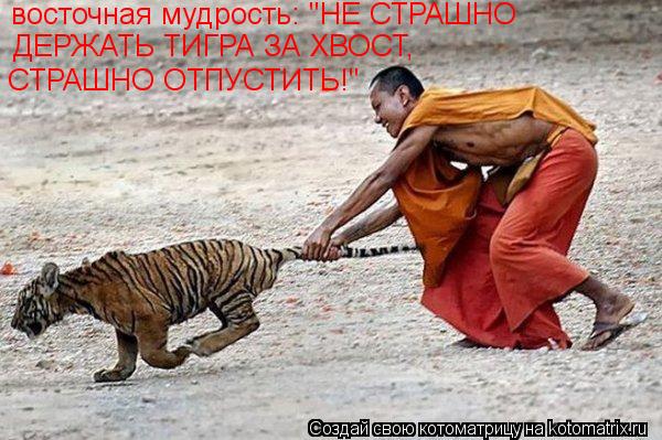 Котоматрица: восточная мудрость: "НЕ СТРАШНО ДЕРЖАТЬ ТИГРА ЗА ХВОСТ, СТРАШНО ОТПУСТИТЬ!"