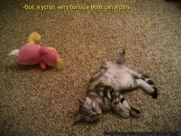 Котоматрица: -Всё, я устал, нету больше моих сил играть