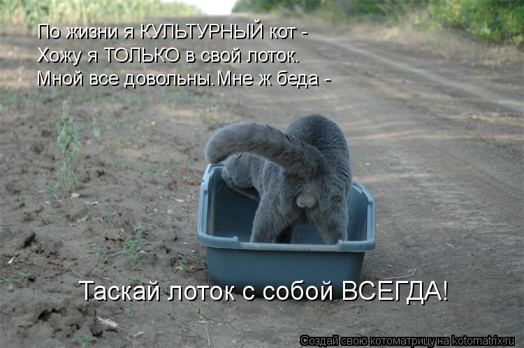 По жизни я КУЛЬТУРНЫЙ кот - Хожу я ТОЛЬКО в свой лоток. Мной все довольны.Мне ж беда - Таскай лоток с... Котоматрица: По жизни я КУЛЬТУРНЫЙ кот - Хожу я ТОЛЬКО в свой лоток. Мной все довольны.Мне ж беда - Таскай лоток с собой ВСЕГДА!