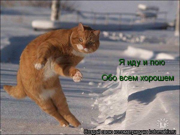 Котоматрица: Я иду и пою Обо всем хорошем