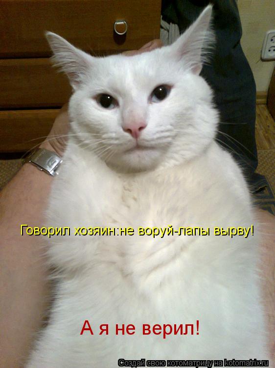 Котоматрица: Говорил хозяин:не воруй-лапы вырву! А я не верил!