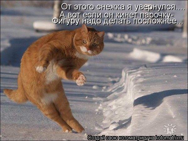 Котоматрица: От этого снежка я увернулся.... А вот если он кинет парочку- Фигуру надо делать посложнее...