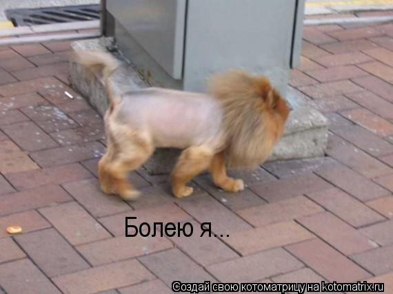 Котоматрица: Болею я...