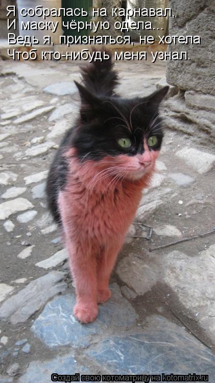 Котоматрица: Я собралась на карнавал, И маску чёрную одела... Ведь я, признаться, не хотела  Чтоб кто-нибудь меня узнал.