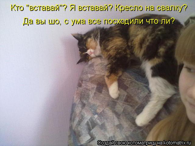 Котоматрица: Кто "вставай"? Я вставай? Кресло на свалку? Кто "вставай"? Я вставай? Кресло на свалку? Да вы шо, с ума все посходили что ли?