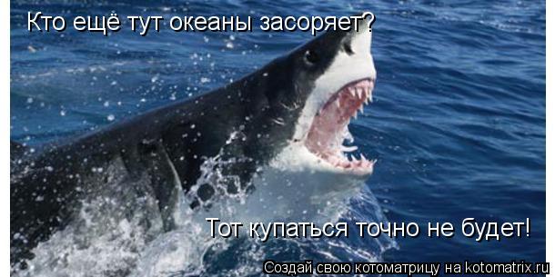 Котоматрица: Кто ещё тут океаны засоряет? Тот купаться точно не будет!