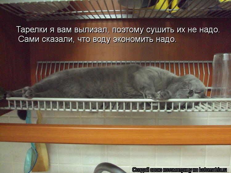 Котоматрица: Тарелки я вам вылизал, поэтому сушить их не надо. Сами сказали, что воду экономить надо.