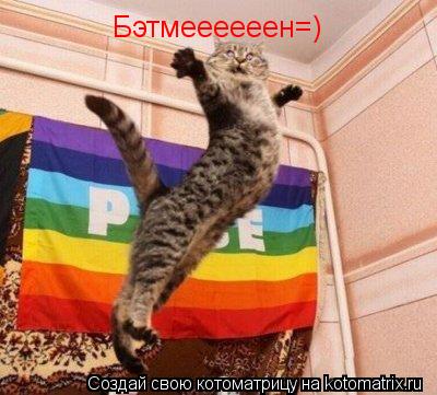 Котоматрица: Бэтмеееееен=)