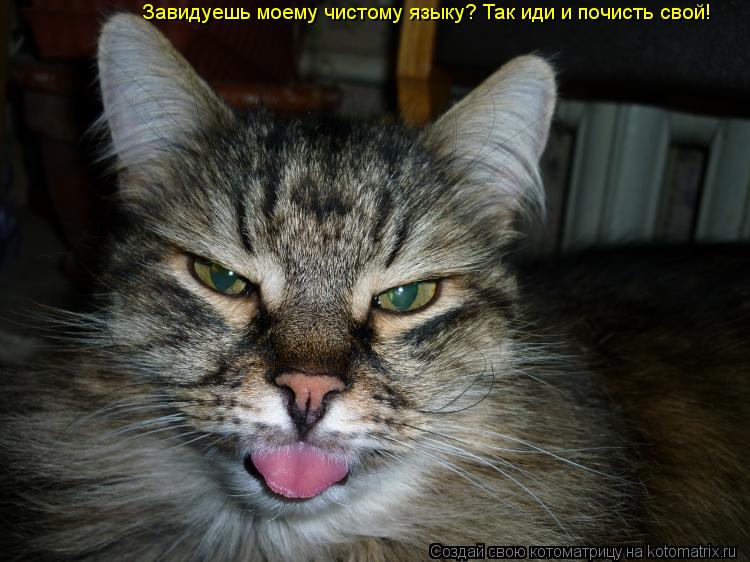Котоматрица: Завидуешь моему чистому языку? Так иди и почисть свой!