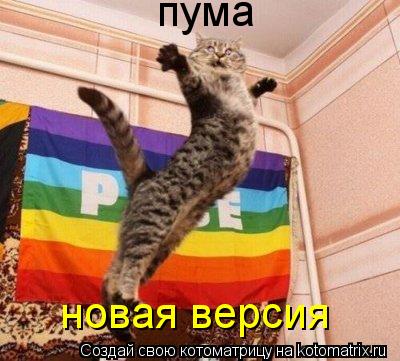 Котоматрица: пума новая версия