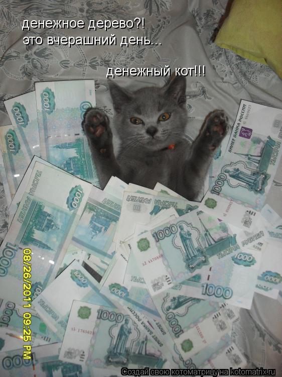Котоматрица: денежное дерево?! это вчерашний день... денежный кот!!!