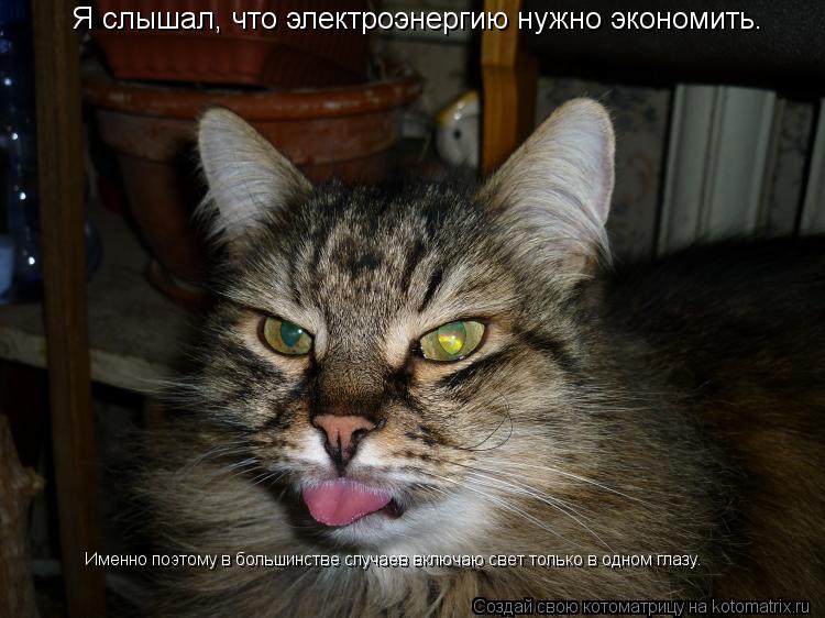 Котоматрица: Я слышал, что электроэнергию нужно экономить. Именно поэтому в большинстве случаев включаю свет только в одном глазу.
