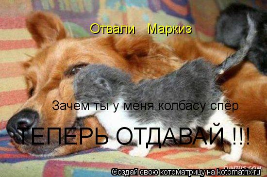 Котоматрица: Отвали   Маркиз Зачем ты у меня колбасу спёр   ТЕПЕРЬ ОТДАВАЙ !!!
