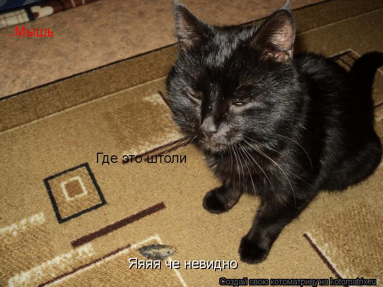 Котоматрица: Мышь ... Где это штоли  Яяяя че невидно