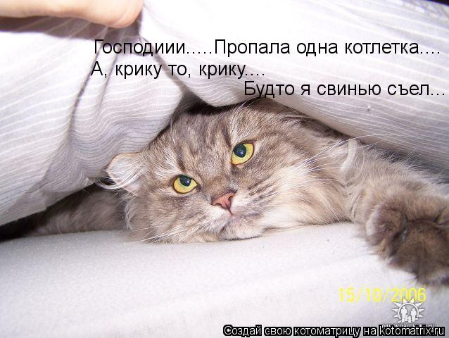 Котоматрица: Господиии.....Пропала одна котлетка.... А, крику то, крику.... Будто я свинью съел...