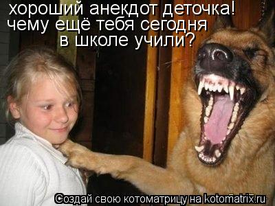 Котоматрица: хороший анекдот деточка!  чему ещё тебя сегодня  в школе учили?
