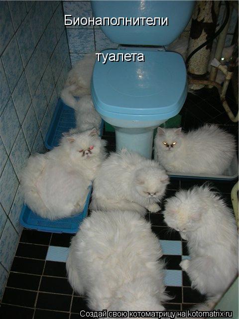 Котоматрица: Бионаполнители  туалета