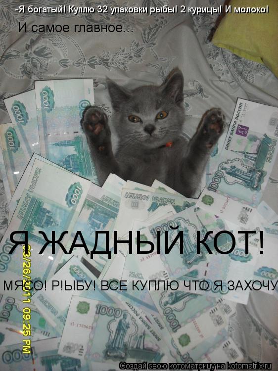 Котоматрица: -Я богатый! Куплю 32 упаковки рыбы! 2 курицы! И молоко! И самое главное... МЯСО! Р!ЫБУ! ВСЕ КУПЛЮ ЧТО Я ЗАХОЧУ! Я ЖАДНЫЙ КОТ!