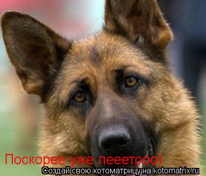 Котоматрица: Поскорее уже лееетооо)