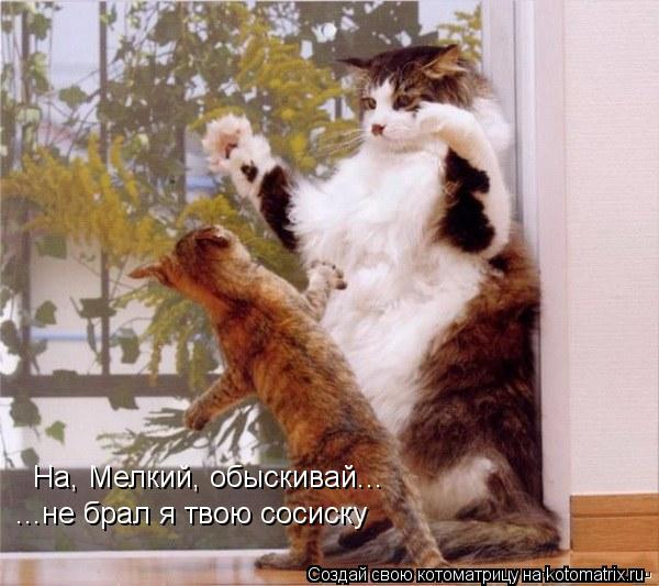 Котоматрица: ...не брал я твою сосиску  На, Мелкий, обыскивай...