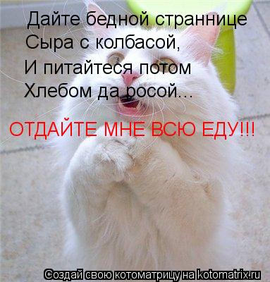 Котоматрица: Дайте бедной страннице Сыра с колбасой, И питайтеся потом Хлебом да росой... ОТДАЙТЕ МНЕ ВСЮ ЕДУ!!!