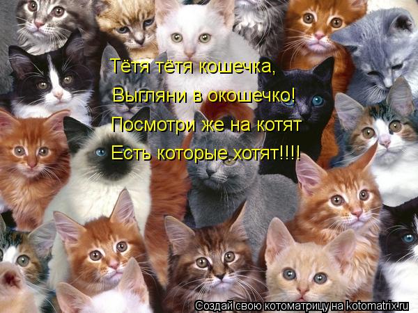 Котоматрица: Тётя тётя кошечка, Выгляни в окошечко! Посмотри же на котят Есть которые хотят!!!!