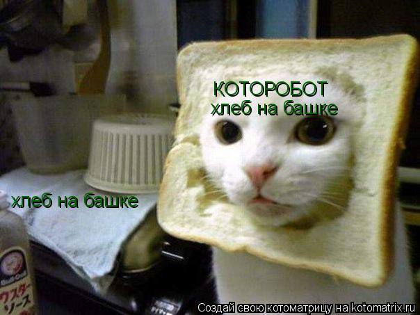 Котоматрица: КОТОРОБОТ хлеб на башке хлеб на башке
