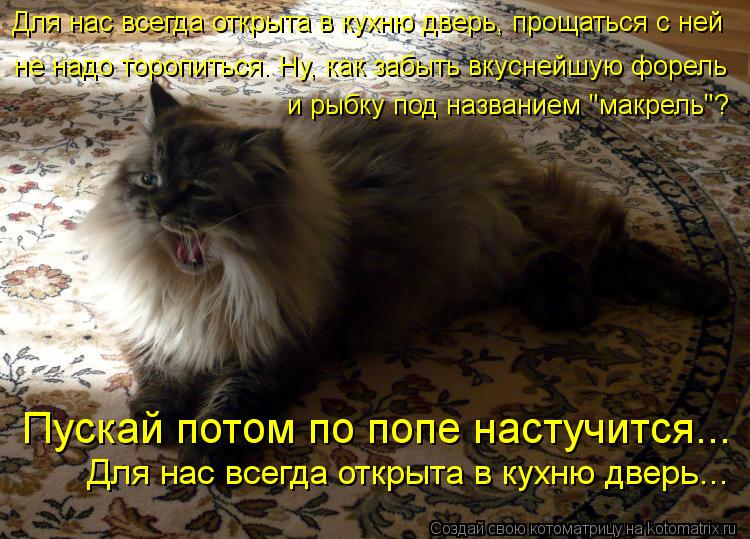 Котоматрица: Для нас всегда открыта в кухню дверь, прощаться с ней не надо торопиться. Ну, как забыть вкуснейшую форель и рыбку под названием "макрель"?  П