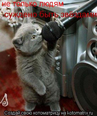 Котоматрица: не только людям   суждено быть звёздами