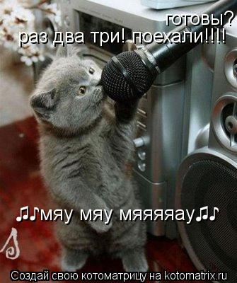 Котоматрица: готовы? раз два три! поехали!!!! &#9835;&#9834;мяу мяу мяяяяау&#9835;&#9834;